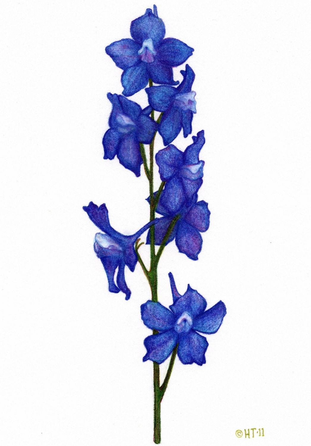 larkspur by hollyhox on etsy larkspur by hollyhox on etsy