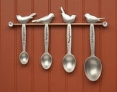 bird measuring spoons