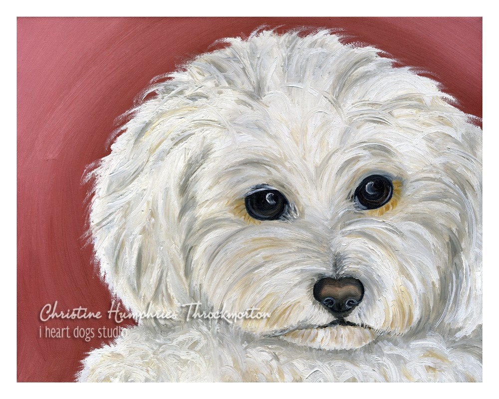 Maltese print