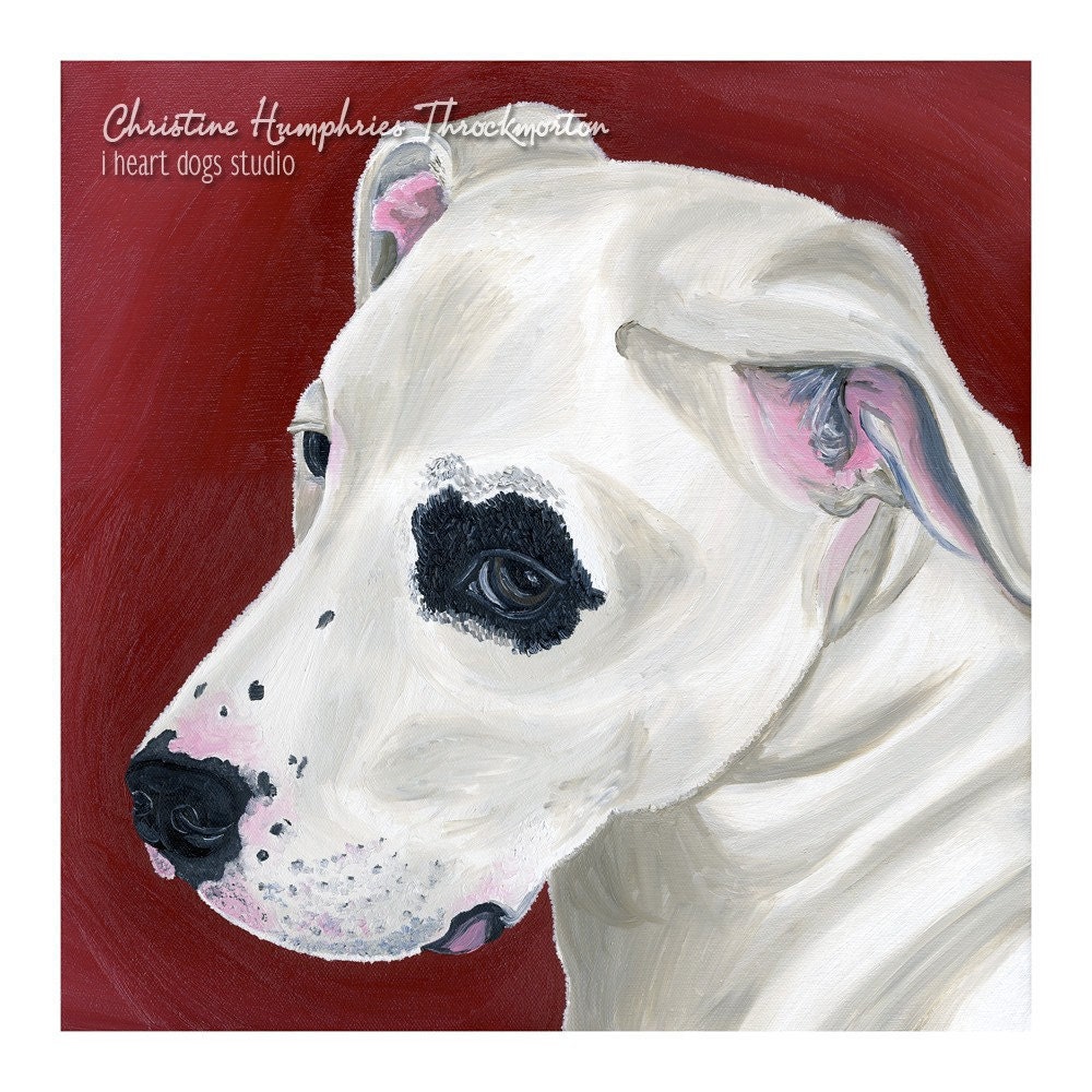 Pit Bull print