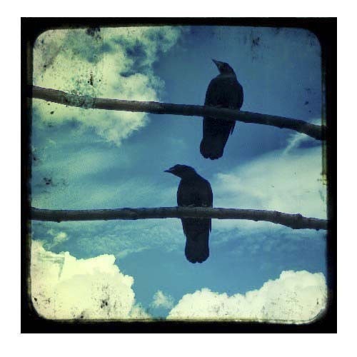 Crows 8X8 Gothic Blue TTV Ravens