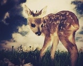 Deer Art Print, The Little Deer Prince, 5x7 Inch Print