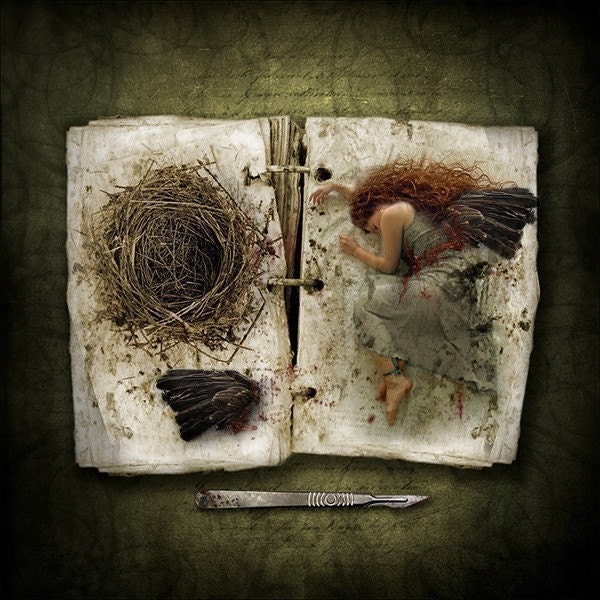 The Wing Collector, 8x8 Inch Print, Dark Fairy Tales, Fantasy Art
