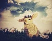 The Little Bunny Prince,  8x10 or 8.5x11 Inch Print, Easter Bunny, Woodland Easter Fairytale Art Print