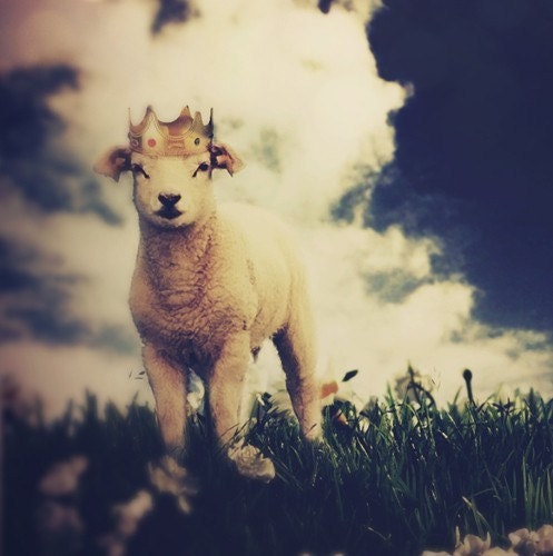 Lamb Print, The Little Lamb Prince, 8x10 or 8.5x11 Inch Print