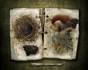 The Wing Collector, 8x8 Inch Print, Dark Fairy Tales, Fantasy Art