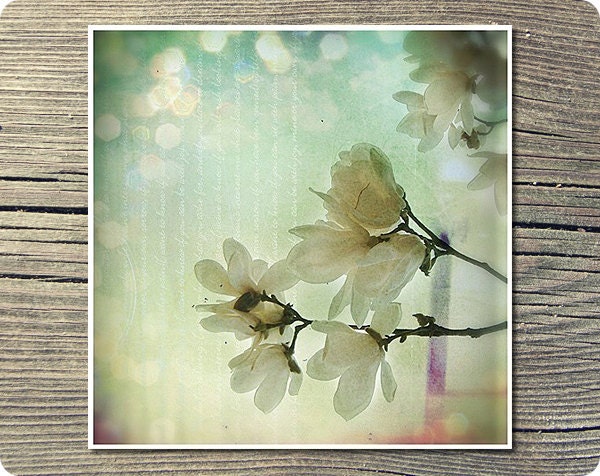 Flower Art Print, Dreaming, 5x5 Inch Print