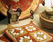 Buckster's Groovy Granny Square Pot Holders