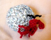 Hiram The Hermit Crab