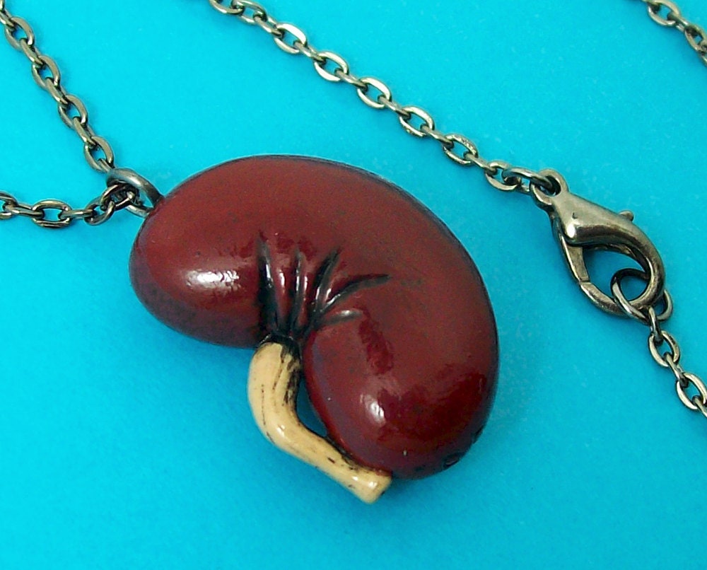 Anatomical Kidney Necklace