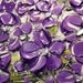 ORIGINAL Contemporary Purple Flowers Bouquet in Vase Thick Impasto Textured Oil Painting by Susanna