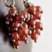 Signature Cluster Earrings - Carnelian