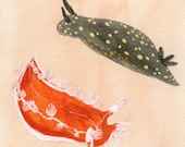 sea slugs original painting