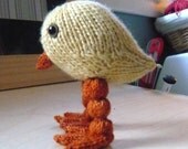 Rainy Day Bird