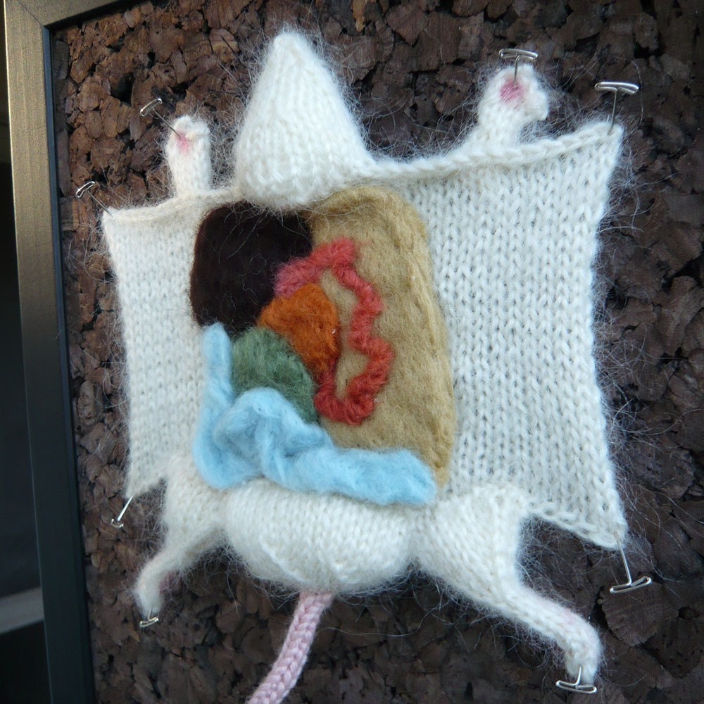 Lab Rat PDF knitting pattern