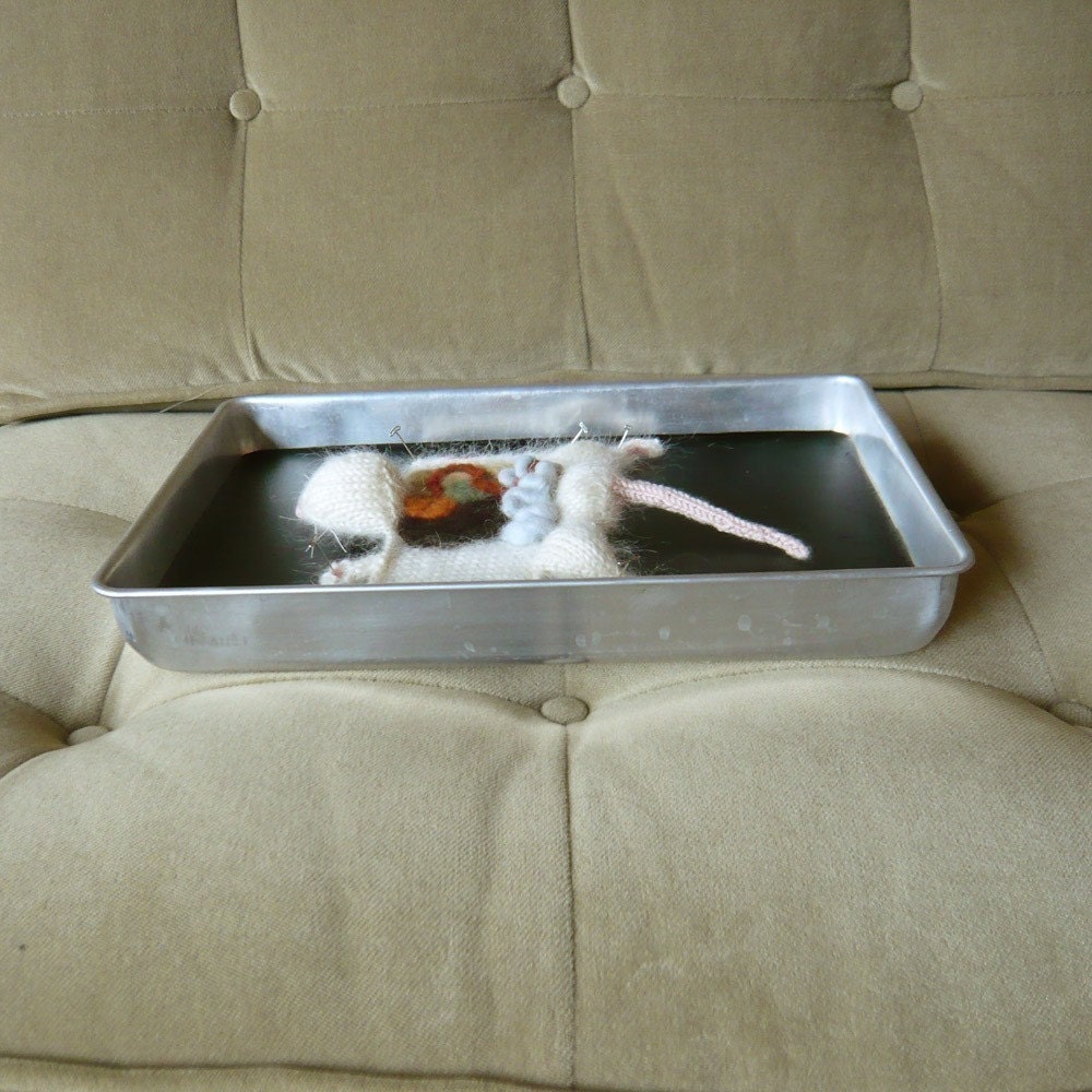 Knitted Lab Rat in an actual dissection tray