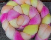 Falkland Roving (Top) Hand Painted Spinning or Felting Fibre in delicate shades of yellow, pink and orange