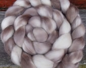 Falkland Roving (Top) 140g Hand Painted Spinning or Felting Fibre in delicate shades brown and cream