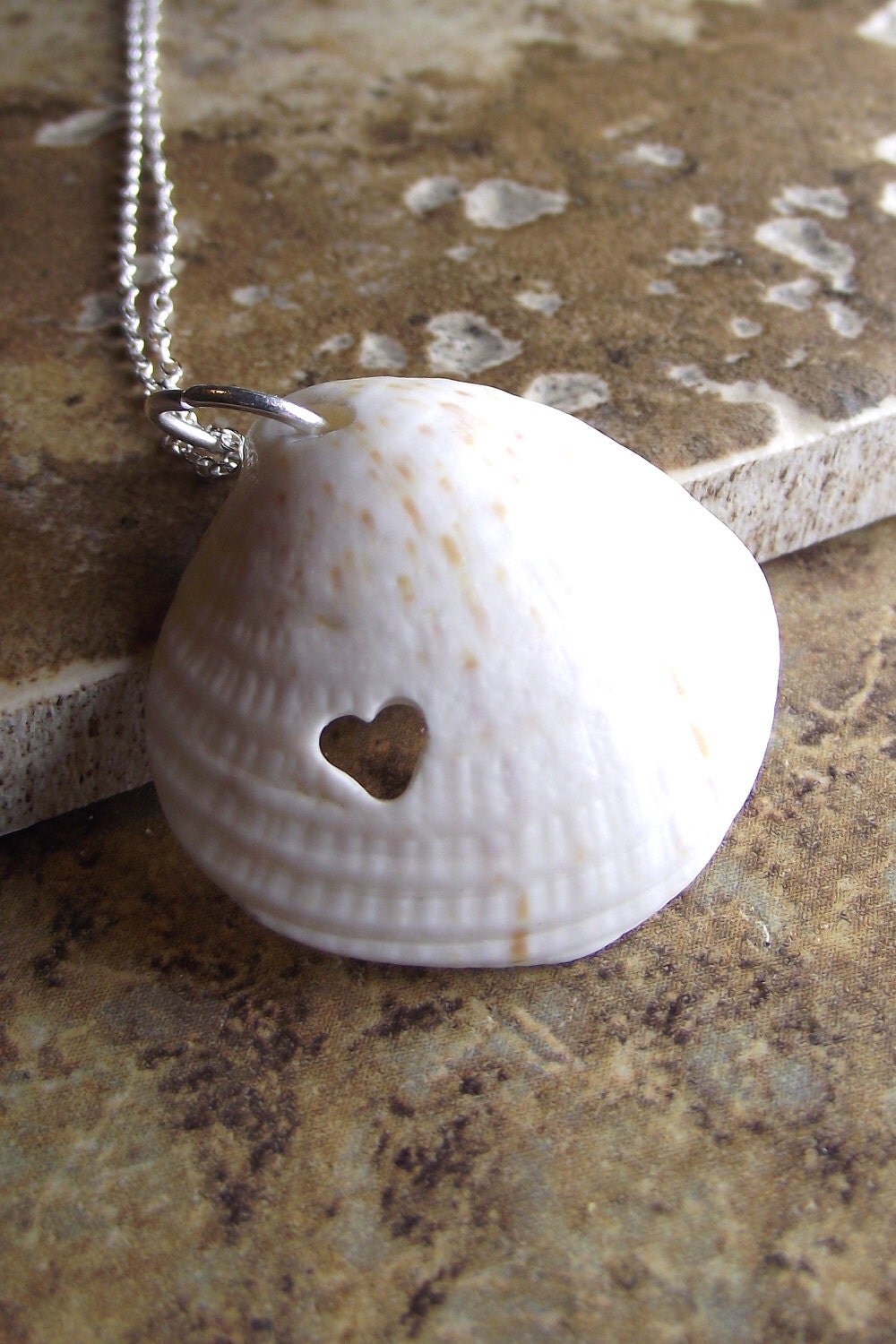 LL Cool Shell - Sea Shell Jewelry - Eco Love Necklace