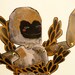 Sea Monkey Paper Articulated Paper Doll Constructed / Hinged Beasts Series