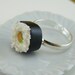 Maki Sushi Ring
