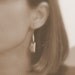 Taco Earrings