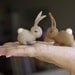 Wool Felt Eco Friendly Bunny by Julie Blanchette on Etsy