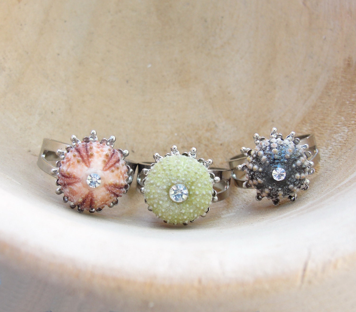 Sea Urchin Collection - Mini Silver Ring - Pink Green Brown - Pick Your Color