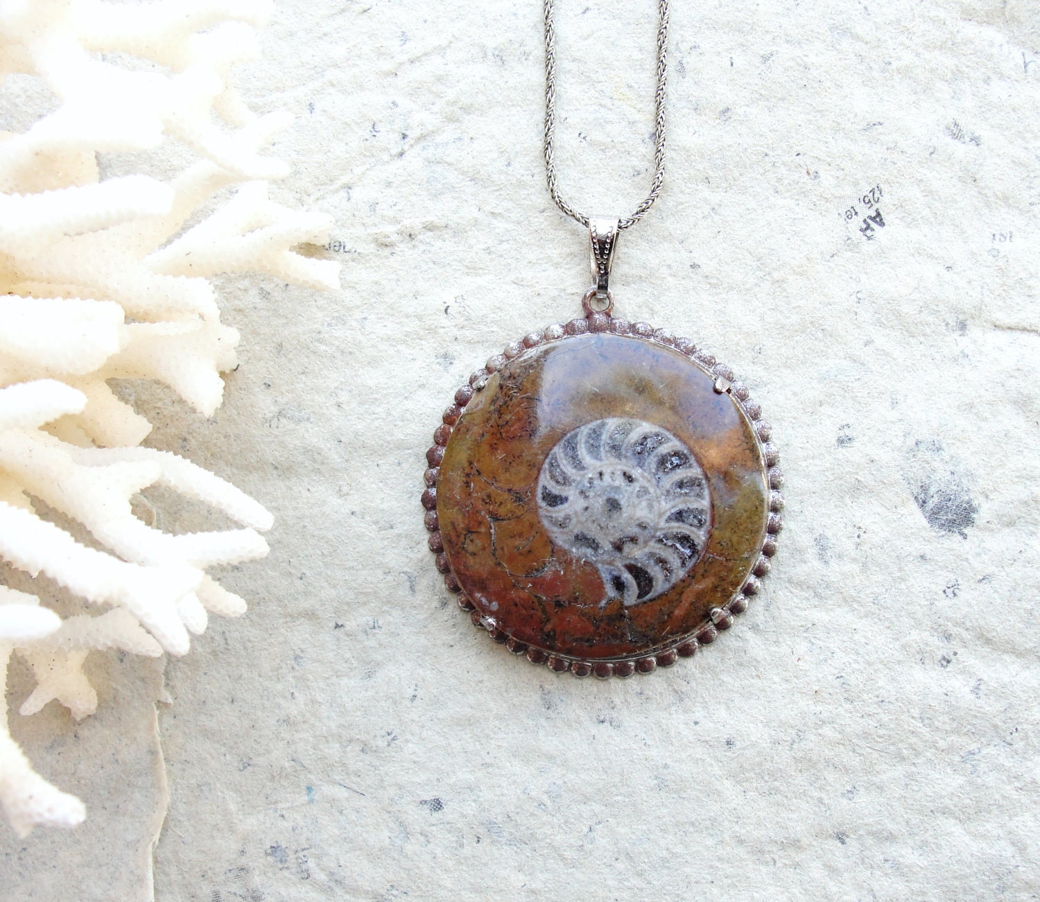 Wonder Cabinet Fossil Necklace