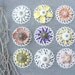 Sea Urchin Collection - Pick Your Own Flower Necklace (Ooak)