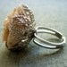 Sea Treasure Collection-Shell and Pearl Rose Ring