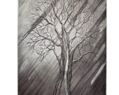 Storm