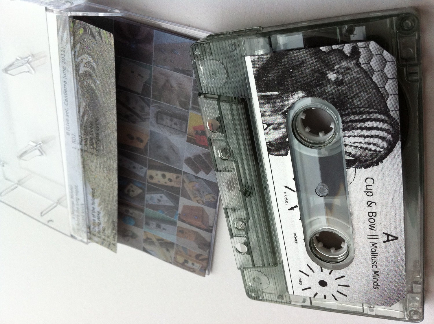 Mollusc Minds cassette, original experimental music