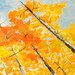 Gold tangerine Aspen Fall Forest tree art Modern Deco original XXL Abstract landscape OIL Painting by tim lam 63x30