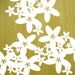 Twinkle - StarFlower Wall Decals