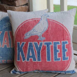 Decorative Pillows