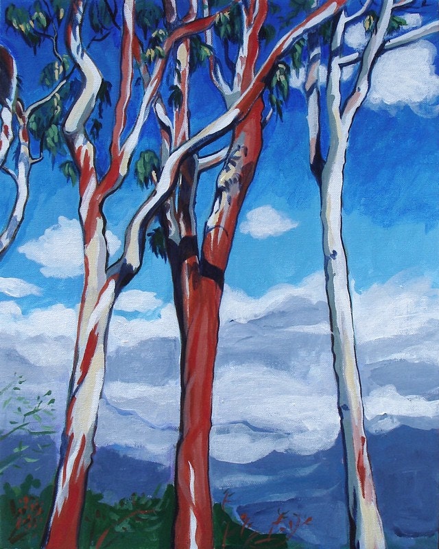 Eucalyptus, Irvine, California