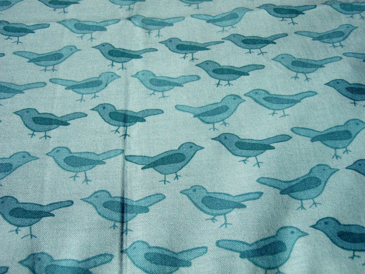Sparrow Song - Kitty Yoga Mat - HUGE Catnip Mat Bed Cats Kitties 4 oz of Organic Catnip