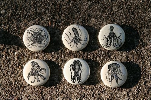 more  pinback buttons of octopi