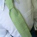Me and Matilda Everyday Necktie Lime Gingham
