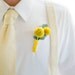 Men's Necktie and Suspenders in Yellow Gingham