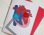 Ventricles Love