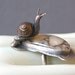 On Hold For straycatz Path Of The Snail Ring Do Not Buy