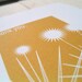 Starburst Flower Thank You Notes (Set of 6)