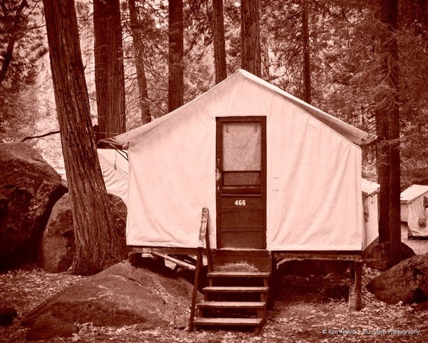 Curry Village Tent Cabin  - 8 x 10 Fine Art Photograph Print