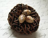 Birds Nest Brooch - Lg with Brown