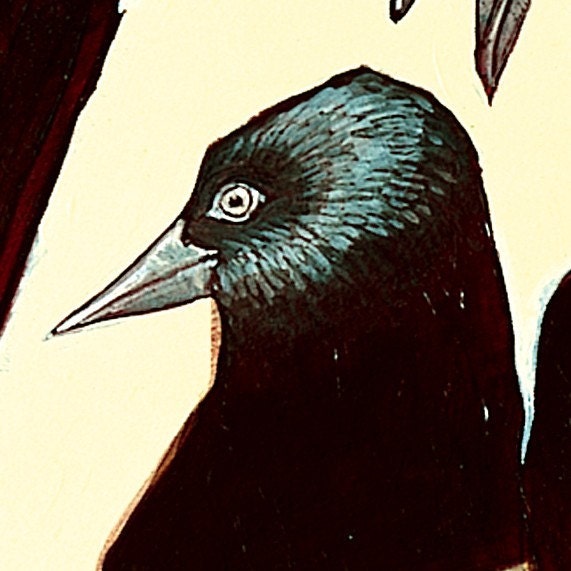 BlackBird- Giclee - Print