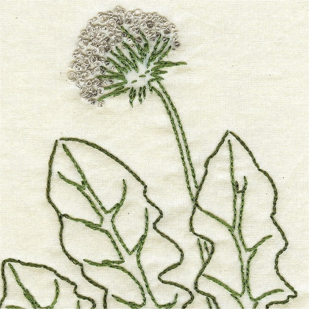 Dandelion stitchery pattern