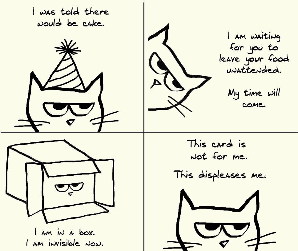 Angry Cat 1 - Set of 8 Large Folded Cards for Cat Lovers