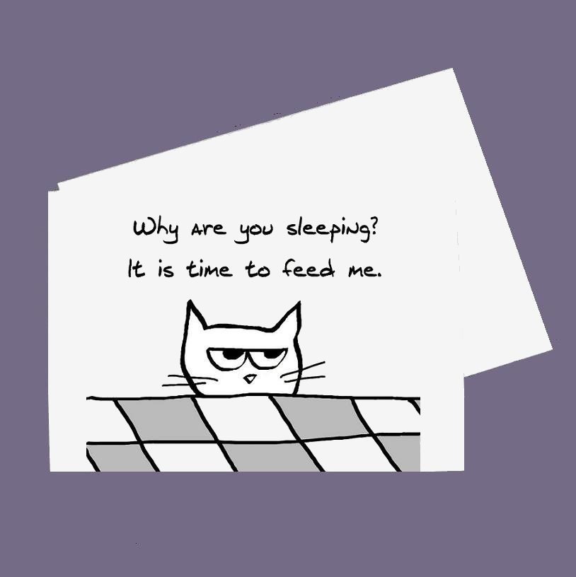 Angry Cat 2 - Set of 8 Large Folded Cards for Cat Lovers